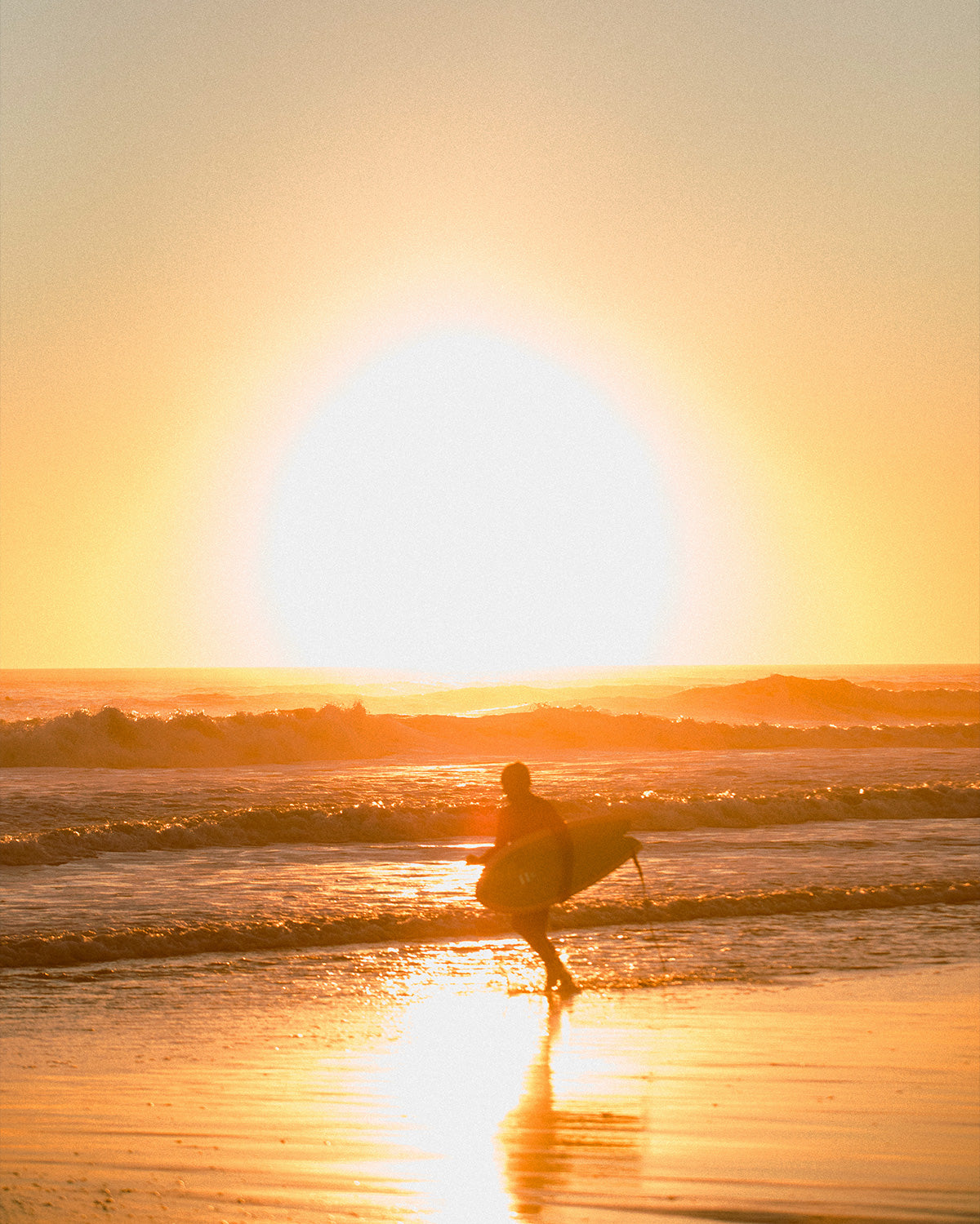 Indio Surfboards