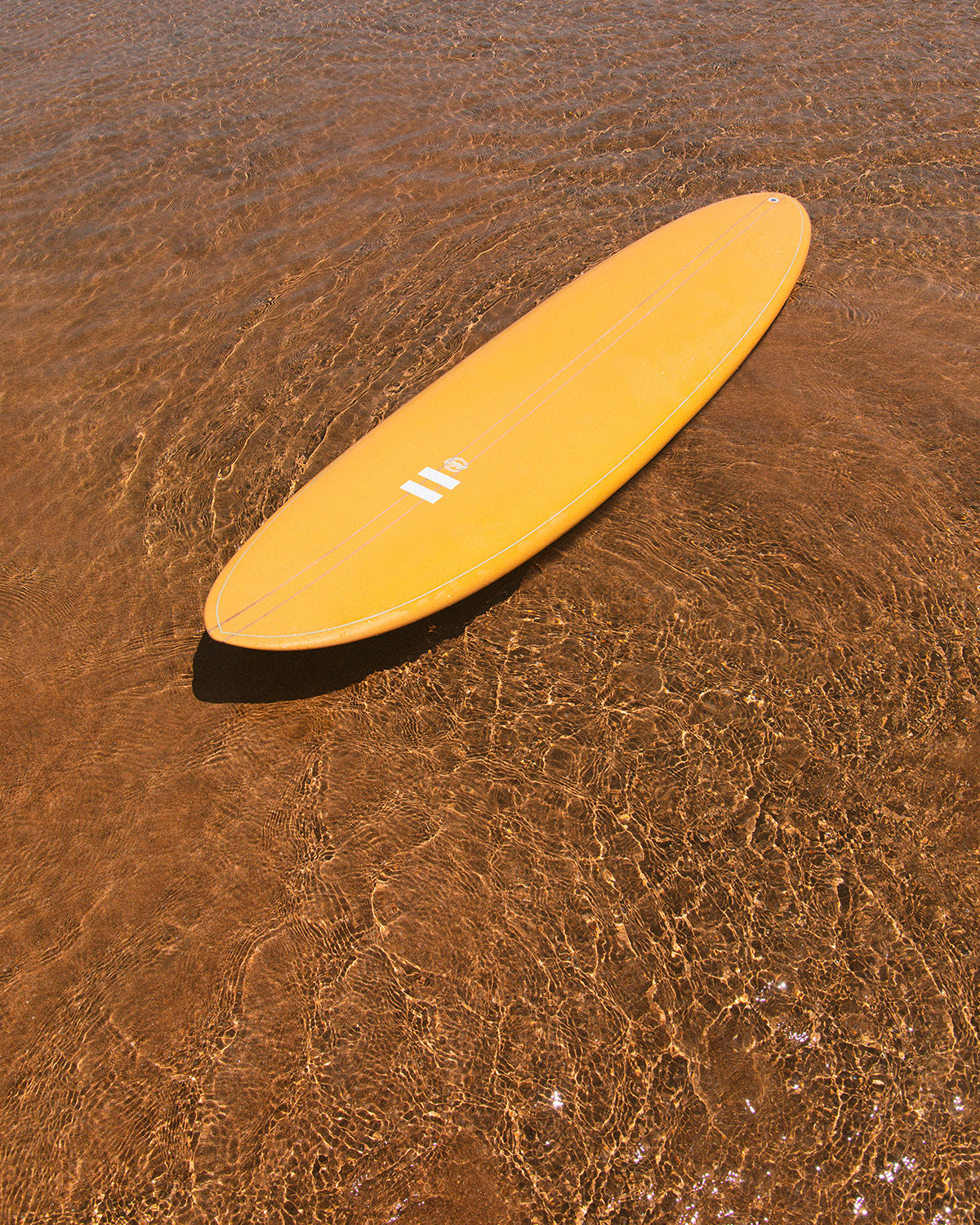Indio The Egg surfboard showing its shape in shallow water