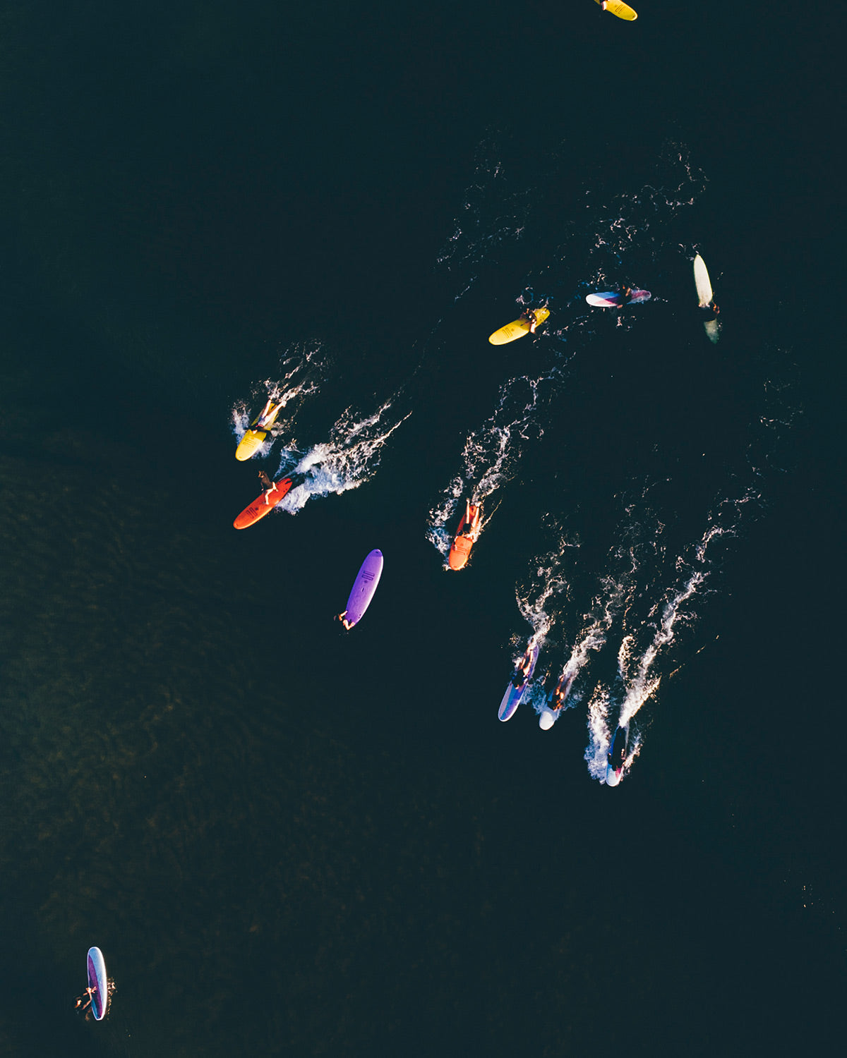 Indio Surfboards